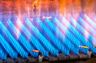 Warham gas fired boilers